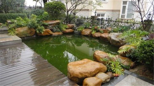 魚池假山設計圖,庭院魚池假山設計,廣通園林